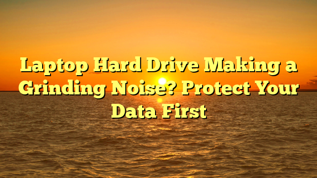 Laptop Hard Drive Making a Grinding Noise? Protect Your Data First