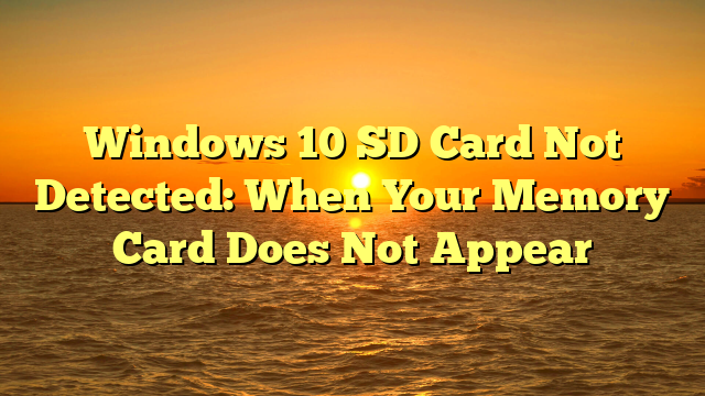Windows 10 SD Card Not Detected: When Your Memory Card Does Not Appear